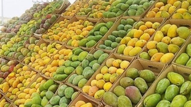 اكتشف الطريقة المثالية لتخزين المانجو والحفاظ على نكهتها الطازجة!