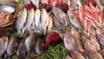 اسعار السمك اليوم الأربعاء 30 يوليو 2025 في جميع الأسواق والمزارع السمكية