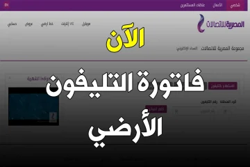 اكتشف الطريقة السهلة لدفع فاتورة التليفون الأرضي من المنزل: خطوات سريعة تضمن لك الراحة!