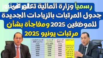اكتشف التفاصيل الجديدة لجدول الأجور الرسمي: ما معنى ذلك لمستقبل رواتبك في العراق؟