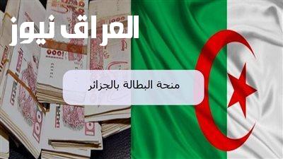 دليل شامل: خطوات وشروط تجديد منحة البطالة 2025 في الجزائر خطوة بخطوة