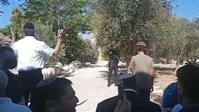 اونلي ليبانون: الشيخ عكرمة صبري يطالب المجتمعين الدولي والاسلامي بوضع حد لاقتحامات الأقصى المبارك